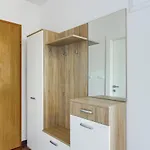 Dream Appartement Ivan Dolac